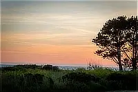 Coastal sunset with a pink and orange sky above grassy bluffs and silhouetted trees.