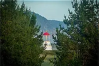 White lighthouse with a red roof partially visible through coastal pine trees.